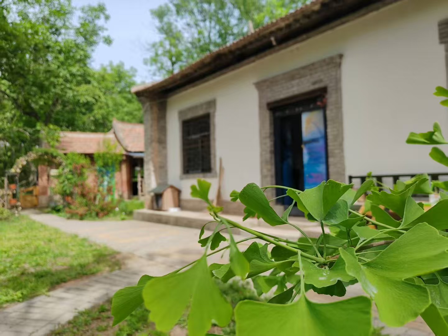 <strong>刘涵之：在一百平米的山野里，种下未来的森林</strong>