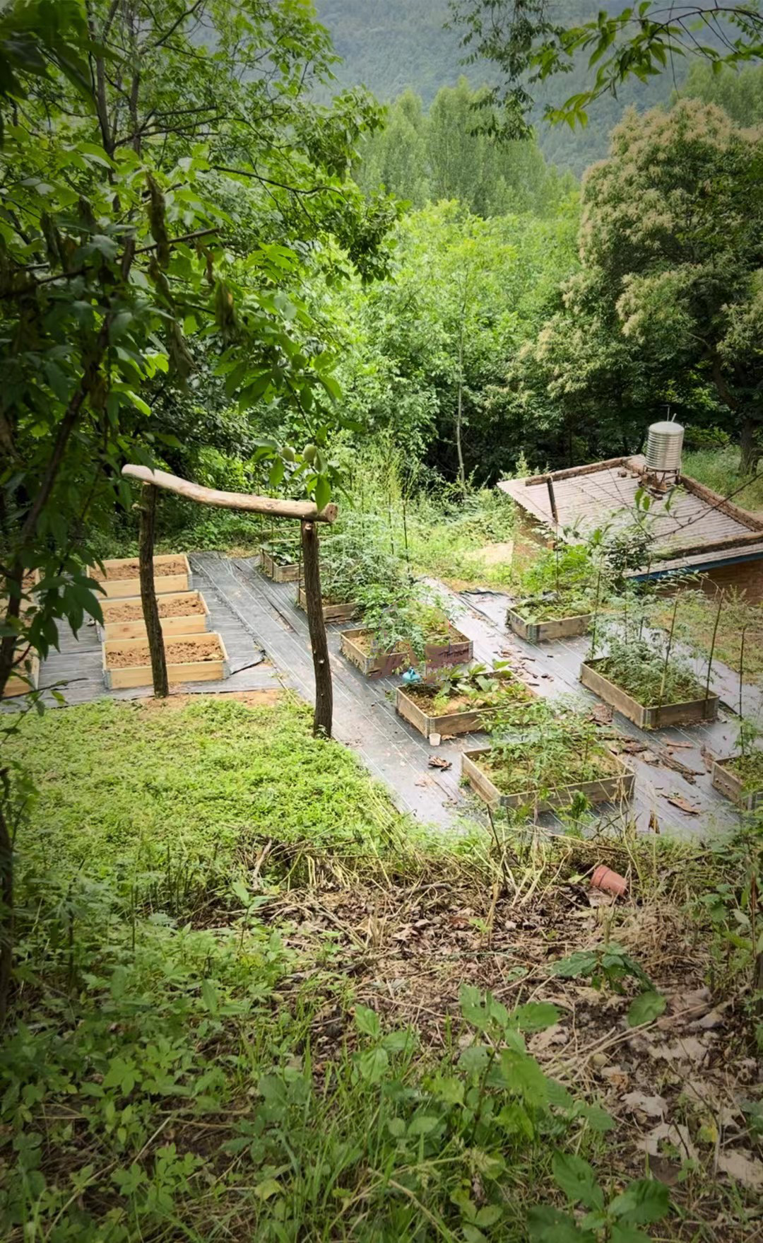 微信图片_20251013101450.jpg 微信图片_20251013101450.jpg