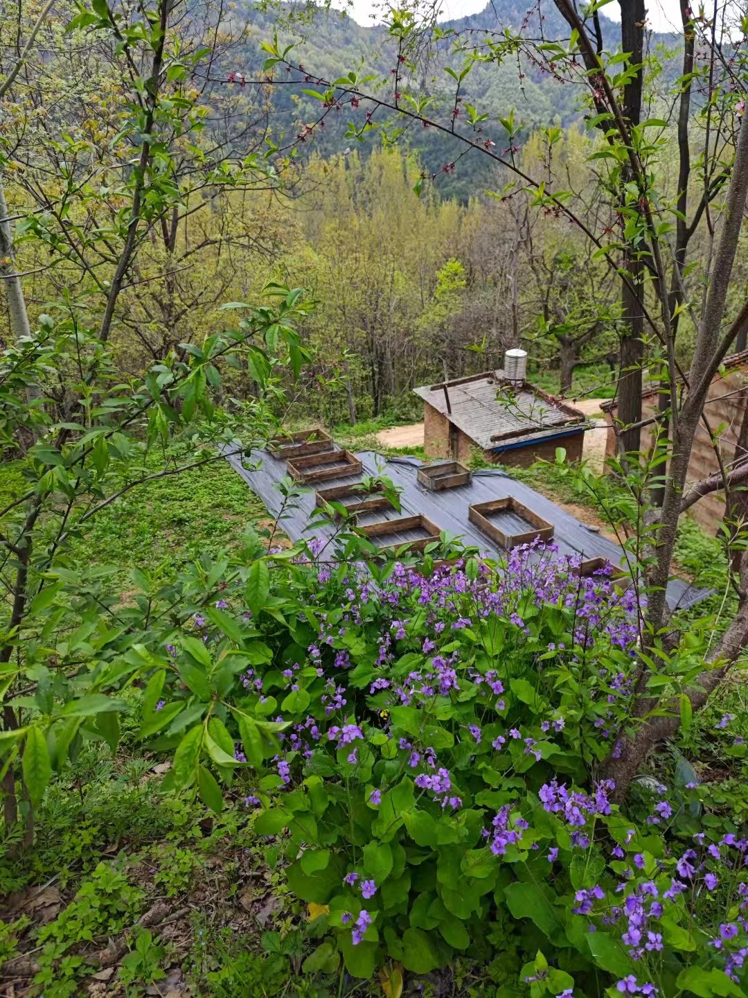 微信图片_20251013101452.jpg 微信图片_20251013101452.jpg