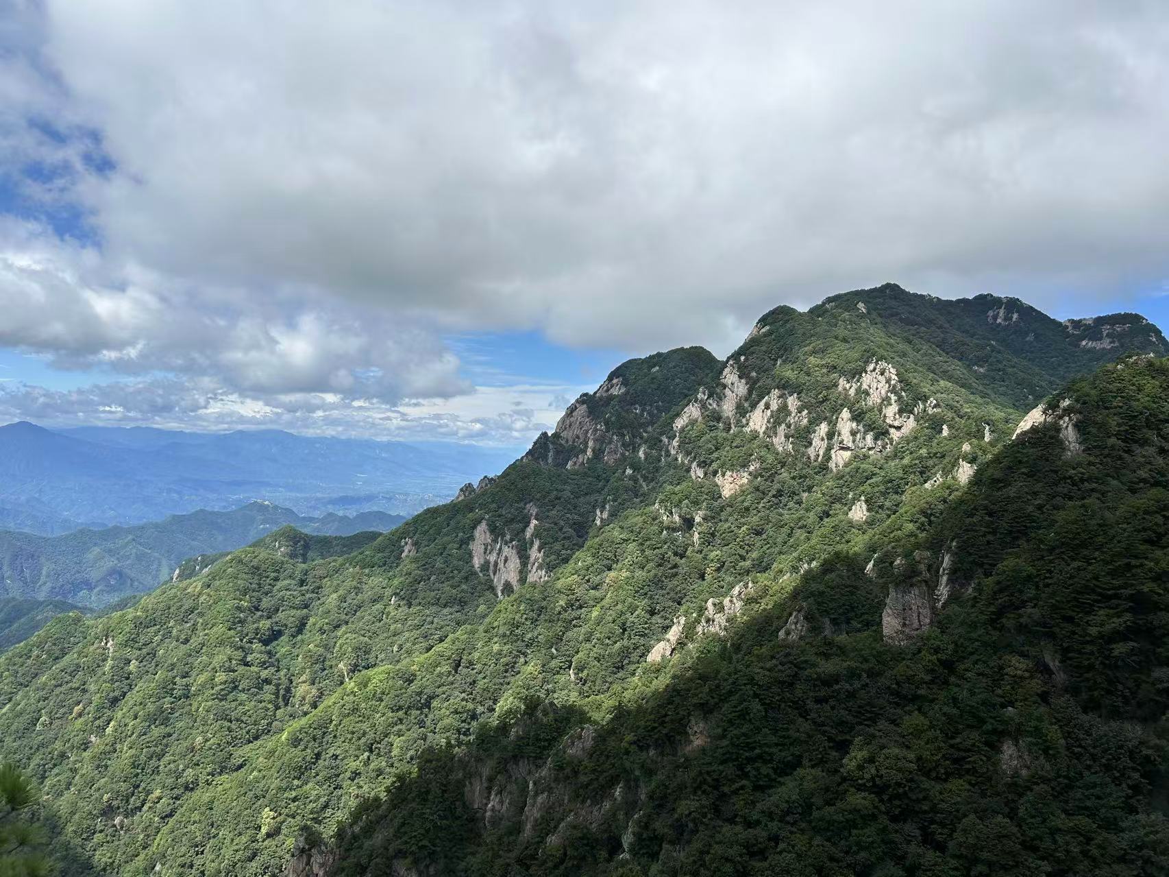 <strong>康起源：从秦岭到世界，以科学理路构建可持续的“在地智慧”</strong>